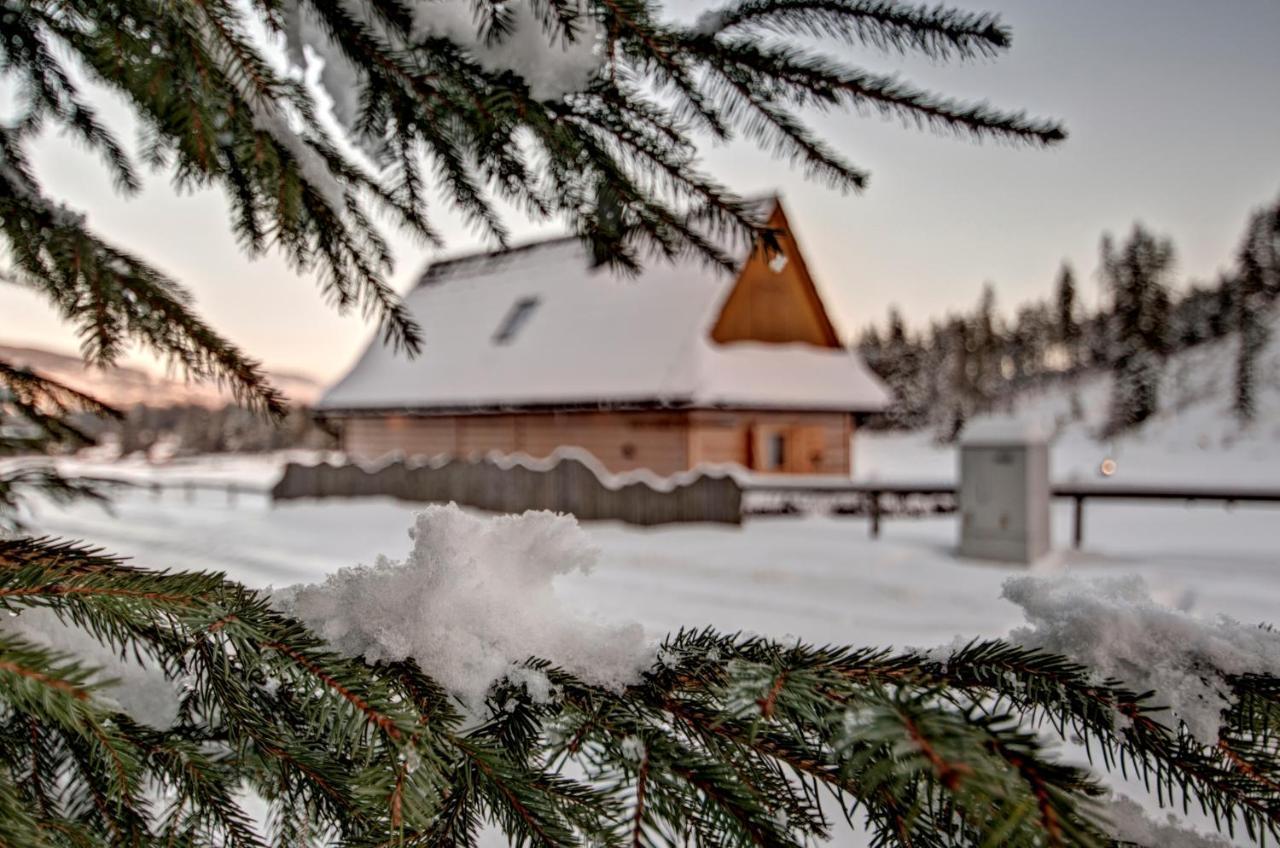 Jedroskowe Chatki Witow  Exterior photo