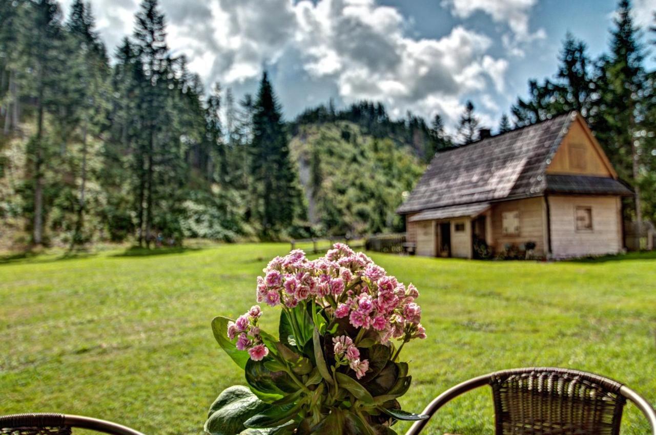 Jedroskowe Chatki Witow  Exterior photo
