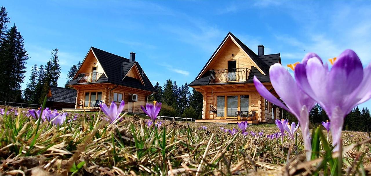 Jedroskowe Chatki Witow  Exterior photo